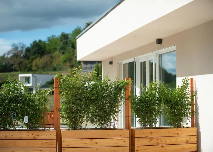 Апартаменты De Roya